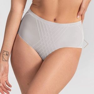 Honeylove silhouette brief 2X